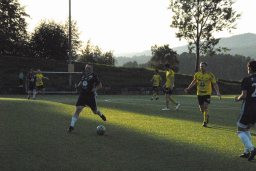 Varfjell - Tomrefjord 2023